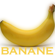 5509cf5e10101.png