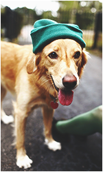 551d07b32228a.png